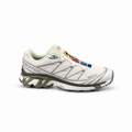Salomon XT 6 cream